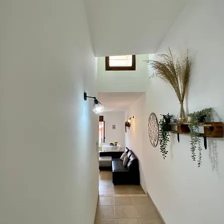 Secret Paradise & Rooftop *