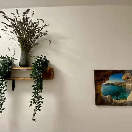 Secret Paradise & Rooftop